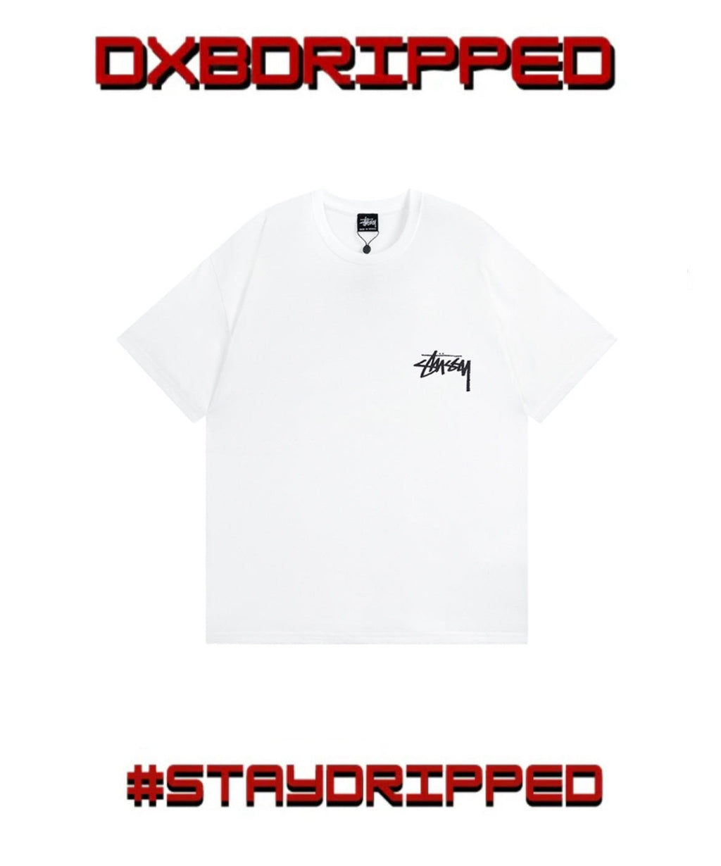 stussy t-shirt